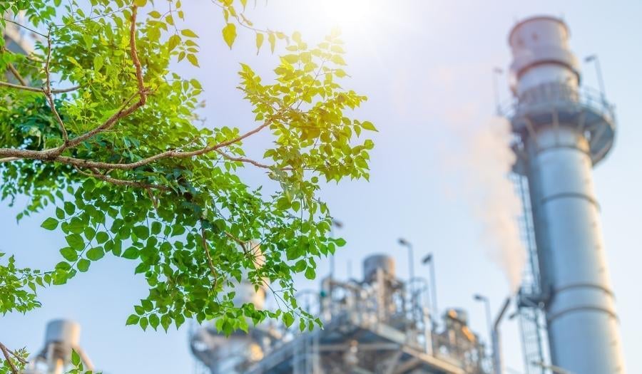 carbon footprint