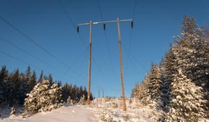 network monitoring