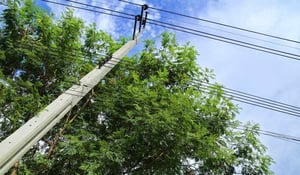 electricity pole