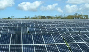 solar farm